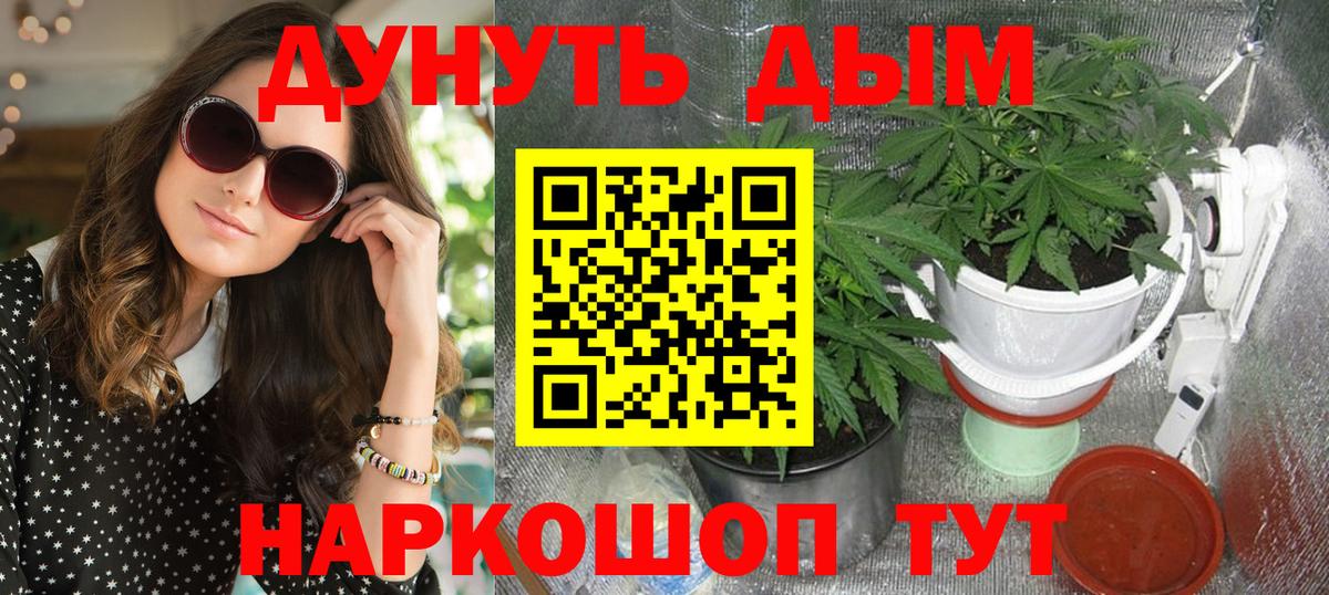 Бошки Шишки гибрид  Каннабис VHQ  Вход с VPN  Конопля MAZAR  Орёл  МАРИХУАНА Bruce Banner 